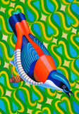 'Himalayan Cutia bird' card
