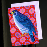 'Peregrine falcon' card