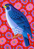 'Peregrine falcon' card