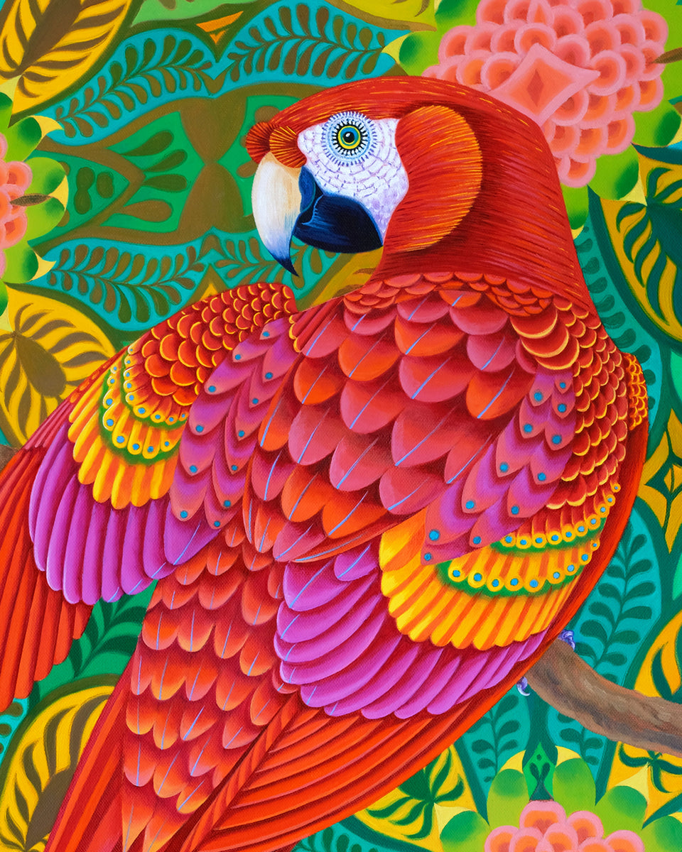Red parrot' A4 print – Jane Tattersfield