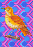 'Song thrush' card