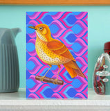 'Song thrush' card