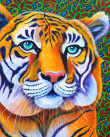 'Tiger' A4 print