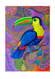 'Toucan' A4 print