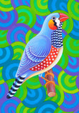 'Zebra finch' card