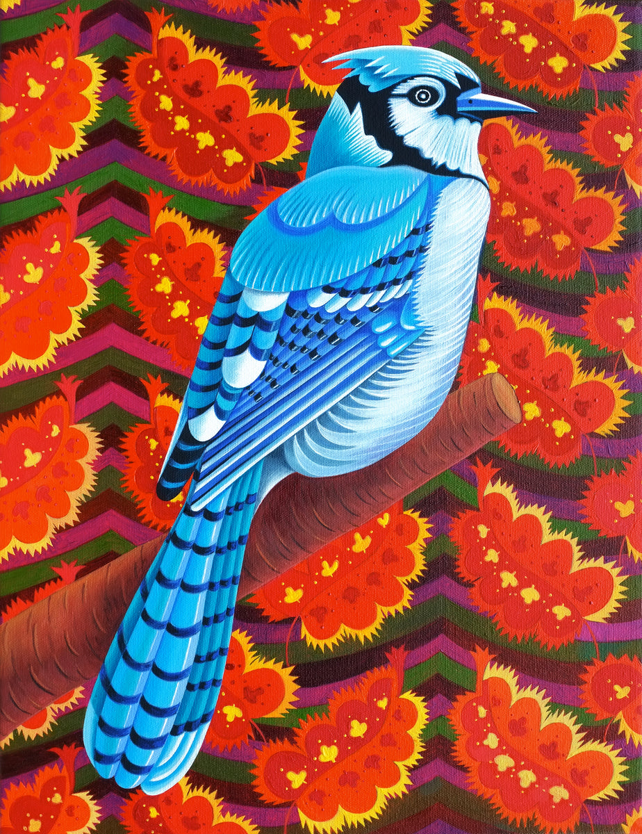 Blue Jay Oil high quality Painting