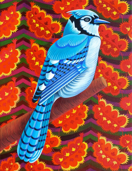 'Blue Jay' oil painting