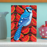 'Blue Jay' card