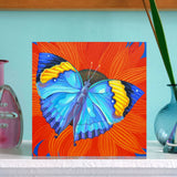 'Indian leaf butterfly' card