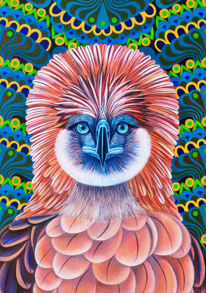 Philippine eagle' card – Jane Tattersfield