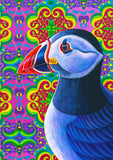 'Puffin' card