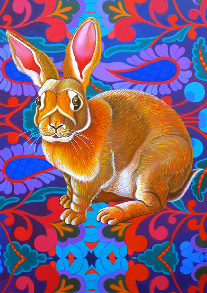'Rabbit' card