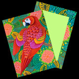 'Birds' 5 Large Illustrated Postcards set