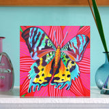 'Sunset moth' card
