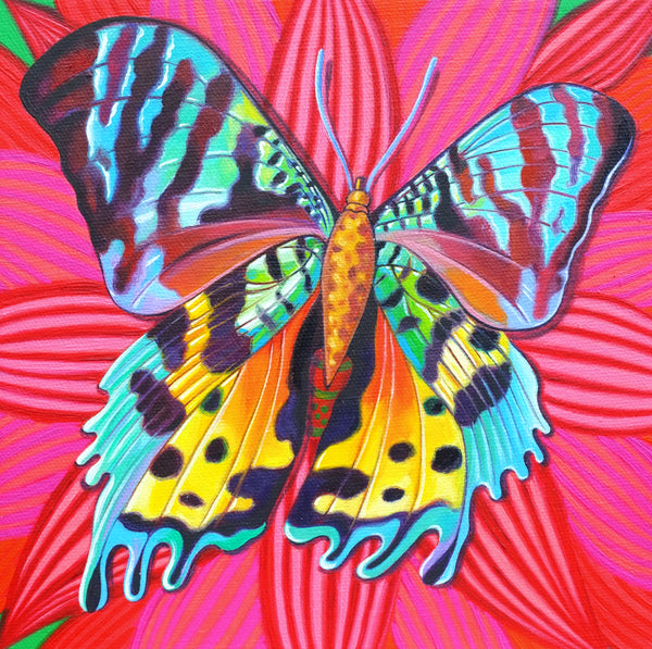 'Sunset moth' oil painting