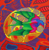 'Swallow-tailed kite' card