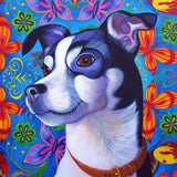 'Terrier' card