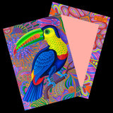 'Birds' 5 Large Illustrated Postcards set