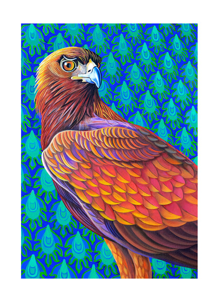 'Golden eagle' A4 print
