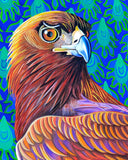 'Golden eagle' A4 print