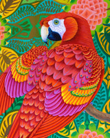 NEW 'Red parrot' A4 print