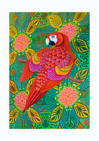 NEW 'Red parrot' A4 print