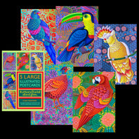 'Birds' 5 Large Illustrated Postcards set