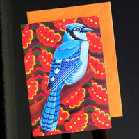 'Blue Jay' card
