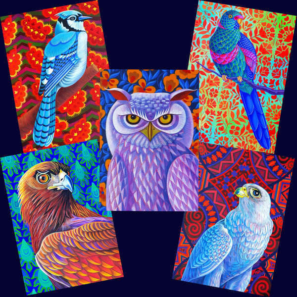 'Bright Birds' 5 card pack