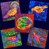 'Birds of the rainbow' 5 card pack