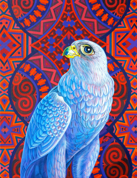 'Grey falcon' oil painting
