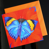 'Indian leaf butterfly' card