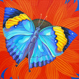 'Indian leaf butterfly' card