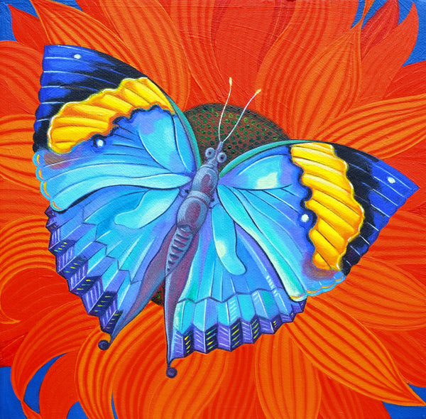 'Indian leaf butterfly' oil painting