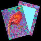 'Birds' 5 Large Illustrated Postcards set