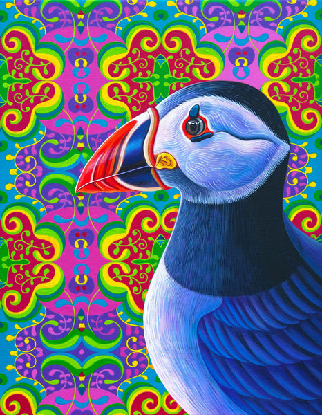 'Puffin' oil painting