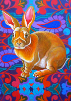 'Rabbit' card