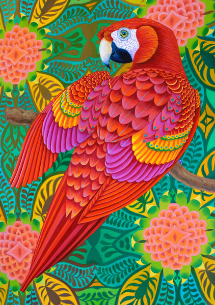 'Red parrot' card