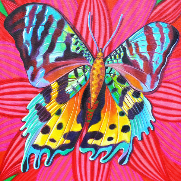 'Sunset moth' card