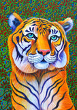 'Tiger' card